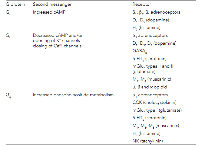 2375_Dopamne receptors.png